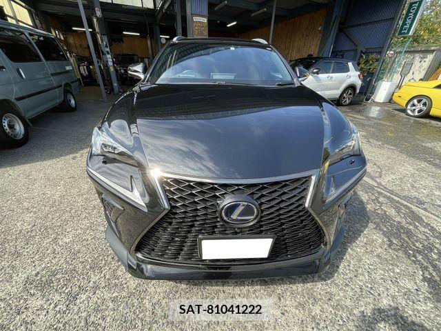 Lexus NX 2018-03 388113-8