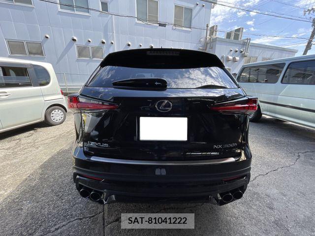 Lexus NX 2018-03 388113-19