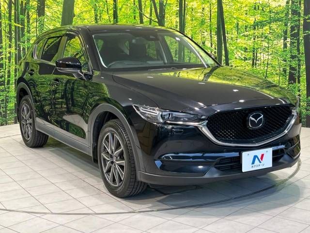Mazda CX-5 2017-08 9133-16