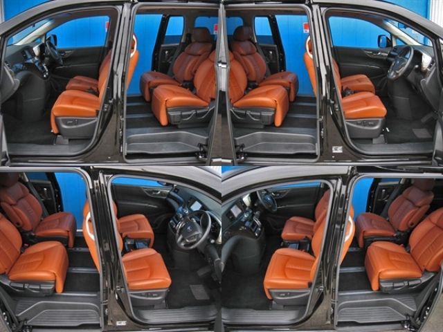Nissan ELGRAND 2018-06 196119-17
