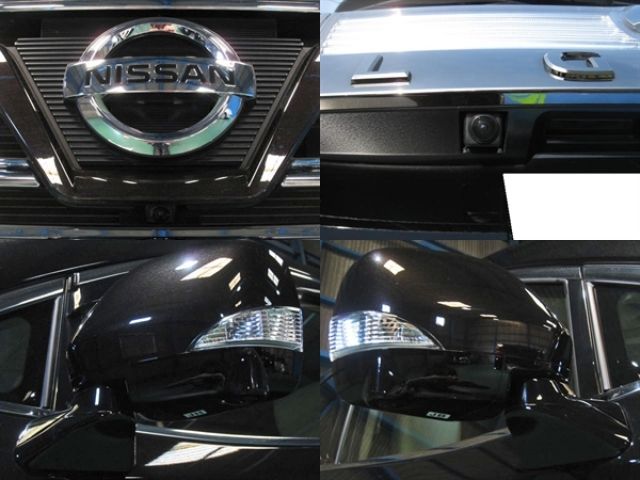 Nissan ELGRAND 2018-06 196119-3