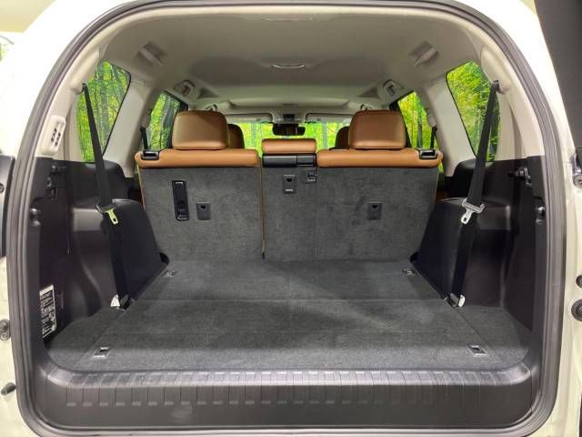 Toyota PRADO 2022-02 186897-11