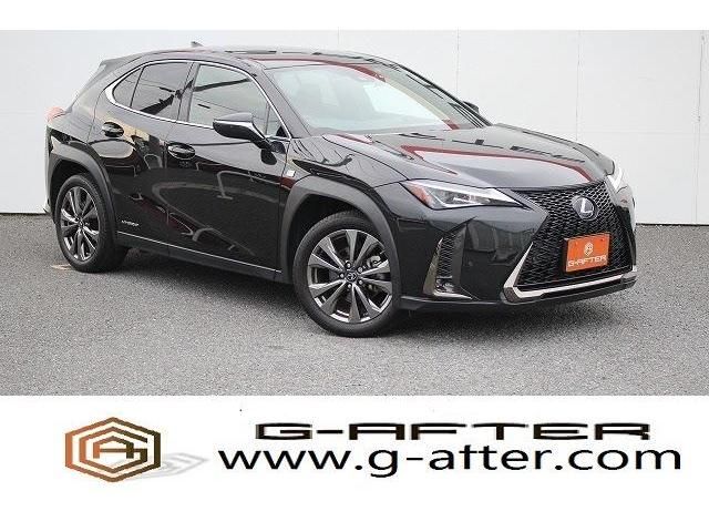 Lexus UX 2019-07 9842-0
