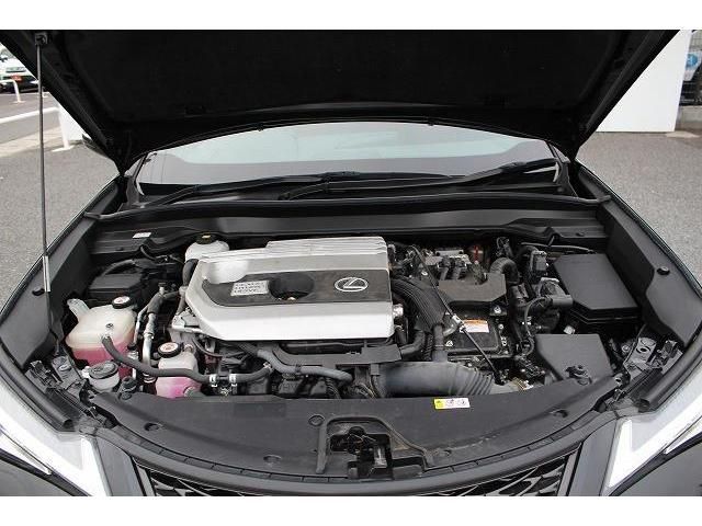Lexus UX 2019-07 9842-18