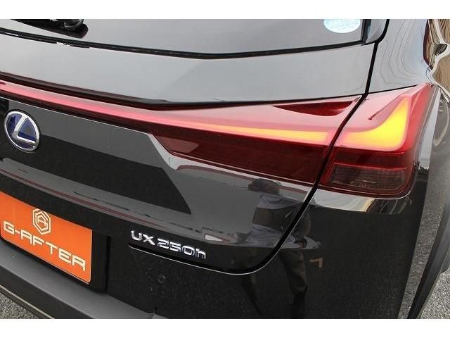 Lexus UX 2019-07 9842-13