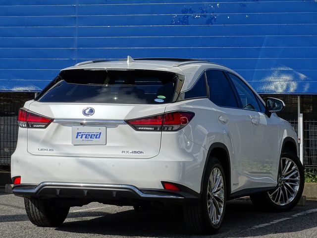 Lexus RX 2021-02 17869-8