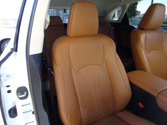 Lexus RX 2021-02 17869-13