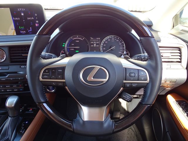 Lexus RX 2021-02 17869-17