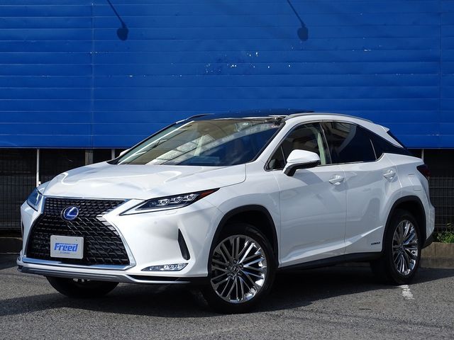 Lexus RX 2021-02 17869-3