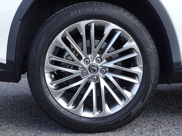 Lexus RX 2021-02 17869-5