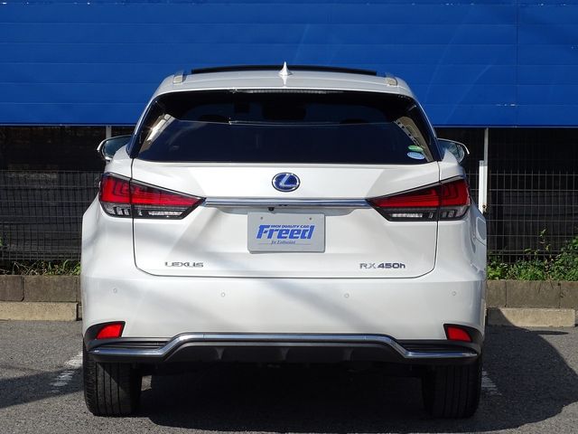 Lexus RX 2021-02 17869-9