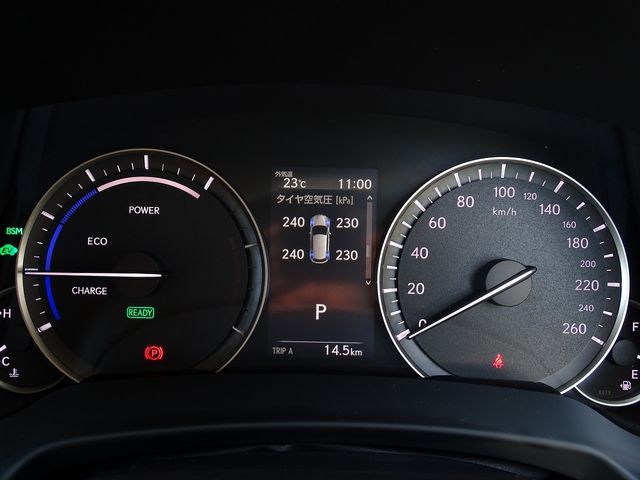 Lexus RX 2021-02 17869-18