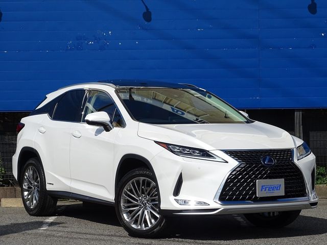 Lexus RX 2021-02 17869-12