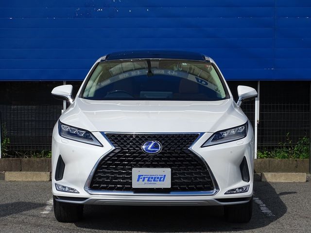 Lexus RX 2021-02 17869-24