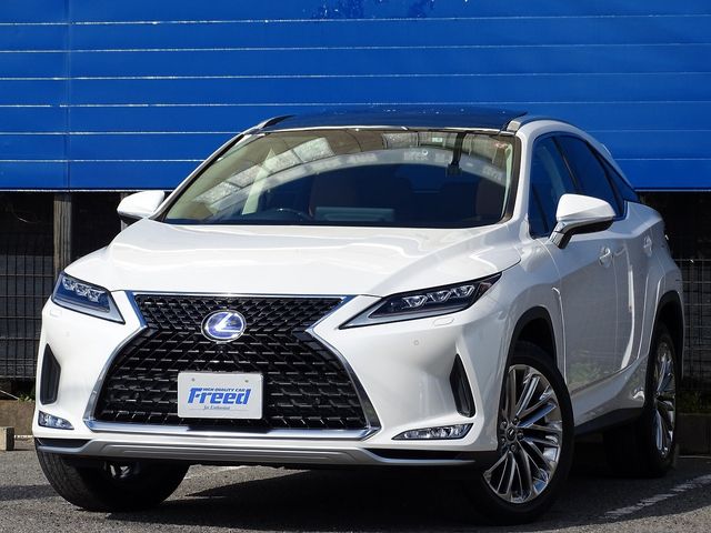 Lexus RX 2021-02 17869-0