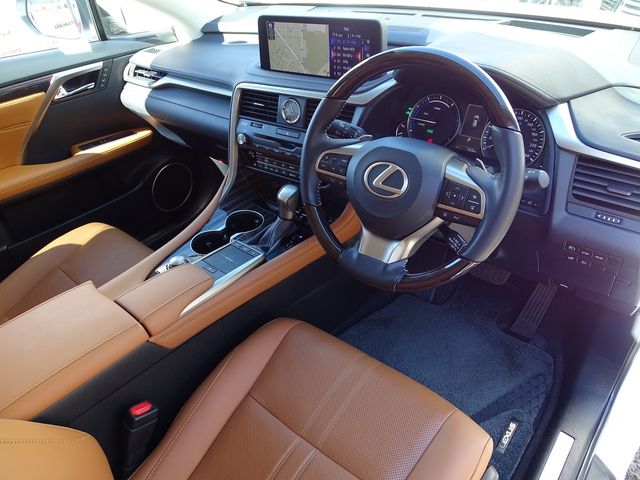 Lexus RX 2021-02 17869-2