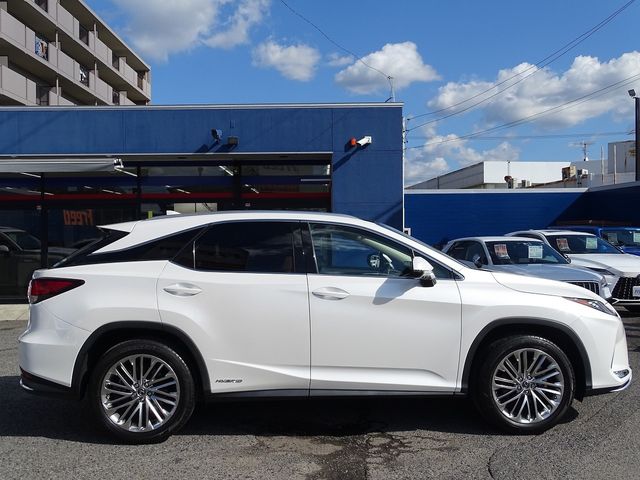 Lexus RX 2021-02 17869-6