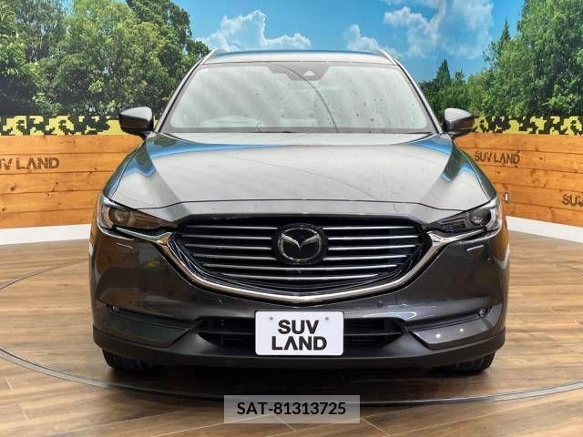 Mazda CX-8 2018-03 266221-14