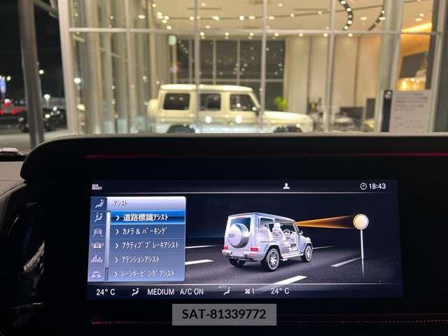 Amg G-CLASS 2021-07 205595-10