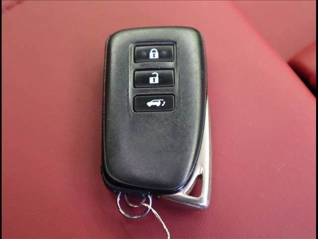 Lexus RX 2020-09 12479-19