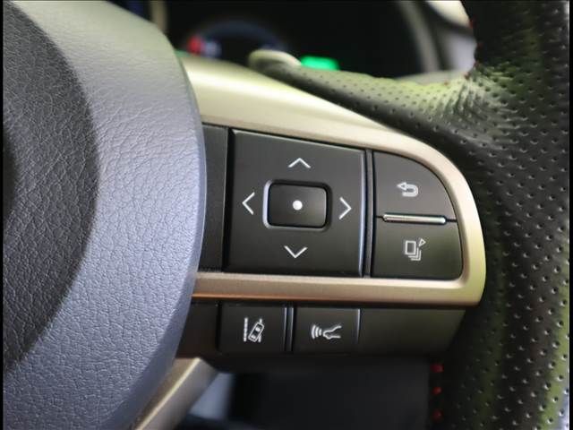 Lexus RX 2020-09 12479-14