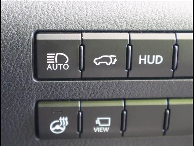 Lexus RX 2020-09 12479-10