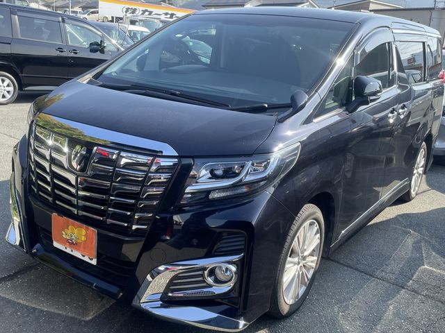 Toyota ALPHARD 2017-06 19488-1