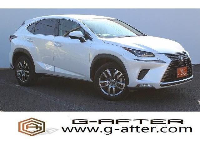 Lexus NX 2018-01 7919-0
