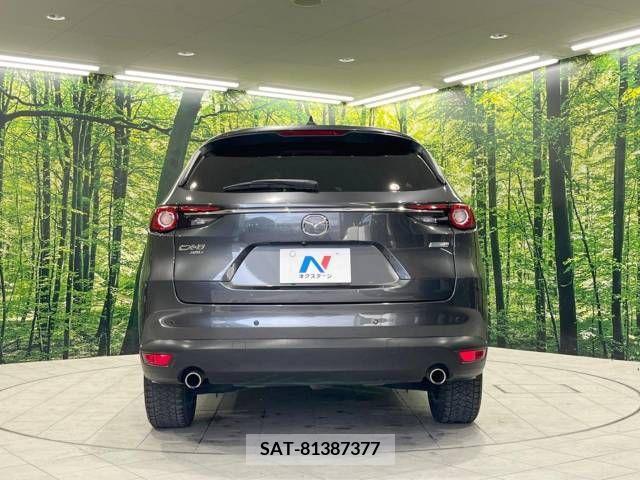 Mazda CX-8 2018-12 266580-15