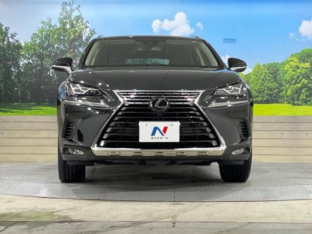 Lexus NX 2019-06 21805-17