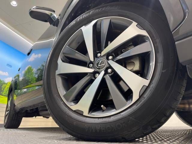 Lexus NX 2019-06 21805-16