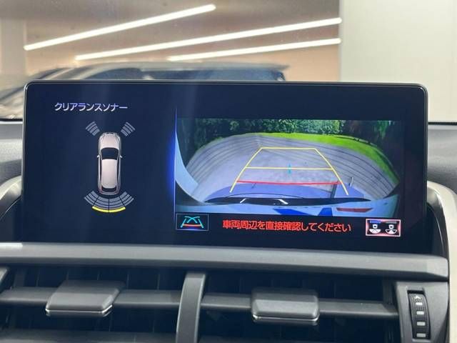 Lexus NX 2019-06 21805-7