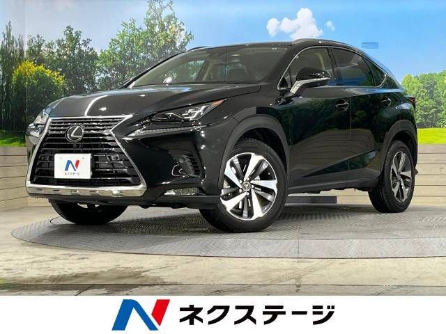 Lexus NX 2019-06 21805-0