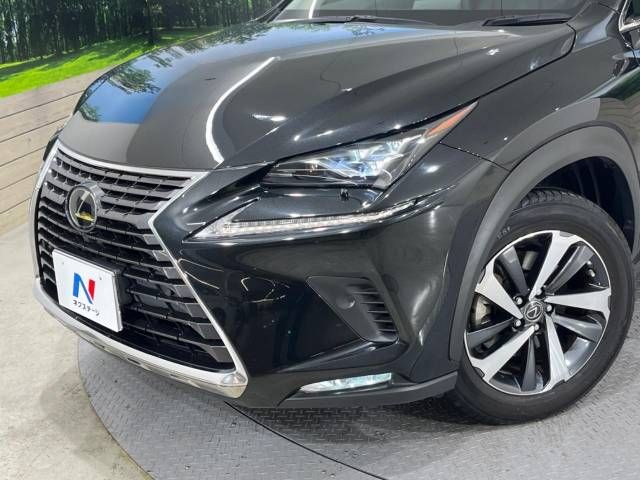 Lexus NX 2019-06 21805-15