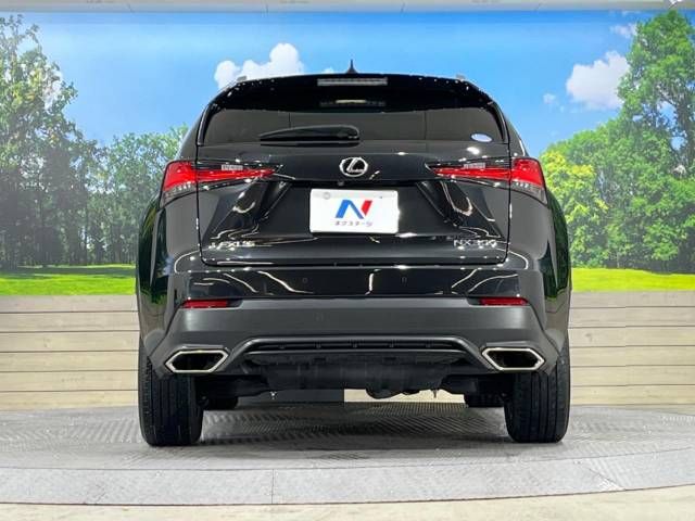 Lexus NX 2019-06 21805-18