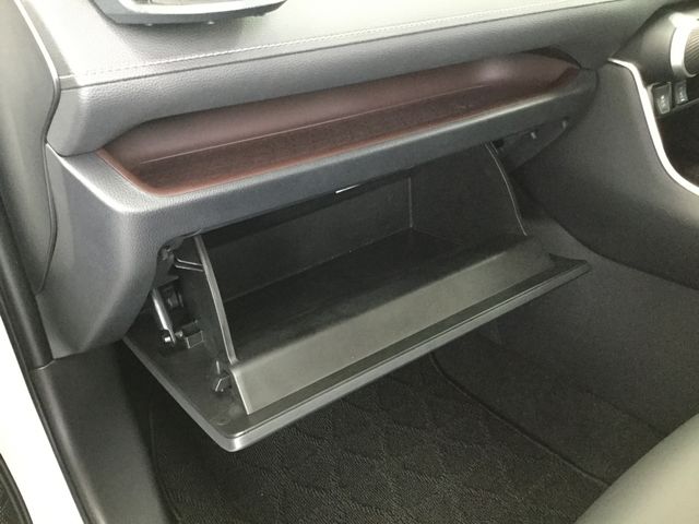 Toyota RAV4 2021-04 4428-21