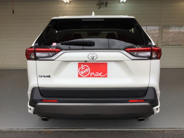 Toyota RAV4 2021-04 4428-5