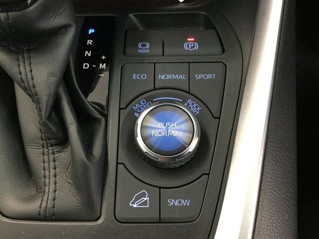 Toyota RAV4 2021-04 4428-14