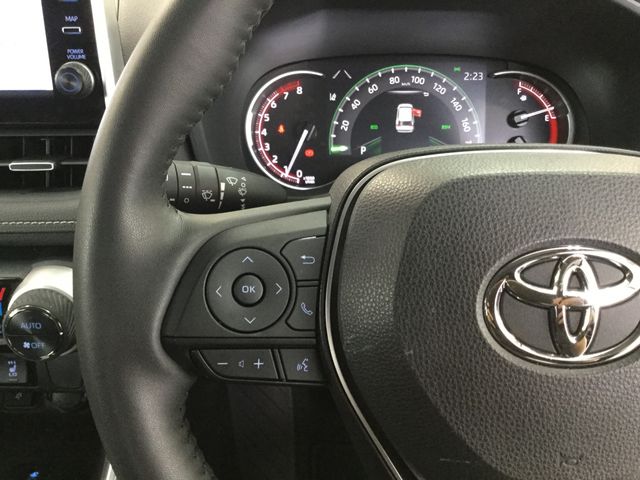 Toyota RAV4 2021-04 4428-18