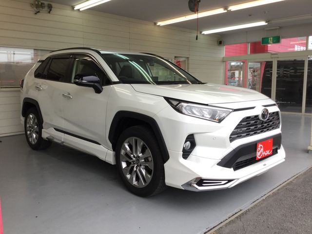 Toyota RAV4 2021-04 4428-4