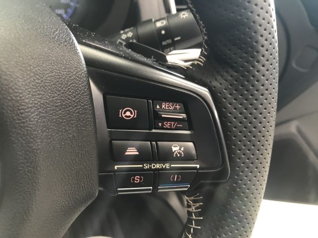 Subaru LEVORG 2017-09 189294-25
