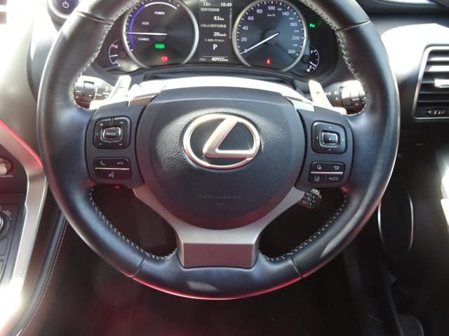 Lexus NX 2018-04 2759-15