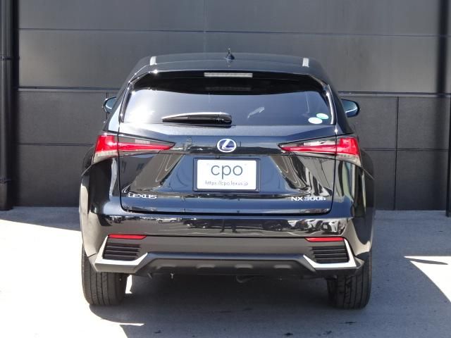 Lexus NX 2018-04 2759-4