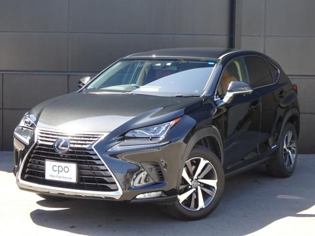 Lexus NX 2018-04 2759-0