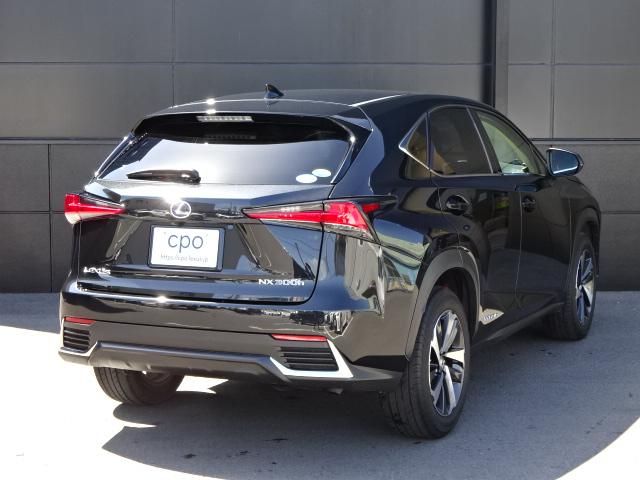 Lexus NX 2018-04 2759-3