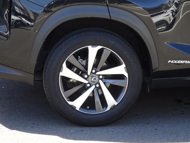 Lexus NX 2018-04 2759-9