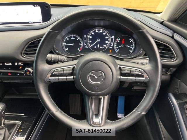 Mazda CX-30 2020-06 343167-11