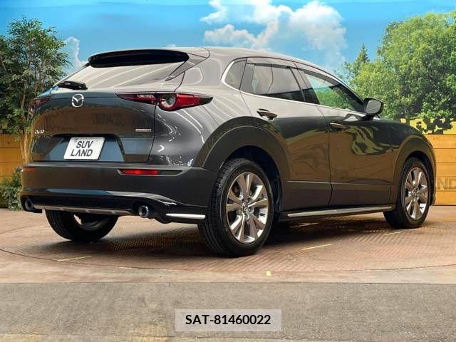 Mazda CX-30 2020-06 343167-17