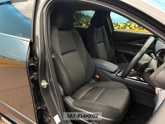 Mazda CX-30 2020-06 343167-8