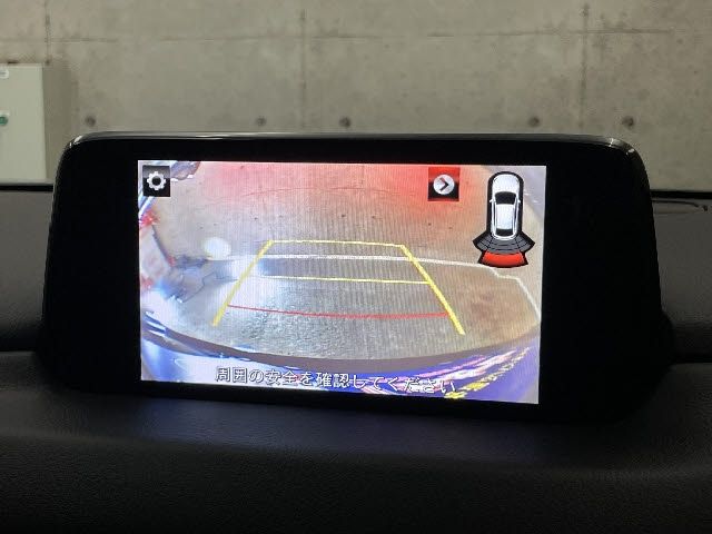 Mazda CX-8 2018-07 4594-17
